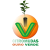 (c) Citromudasouroverde.com.br